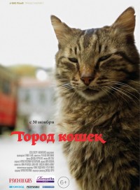 Город кошек