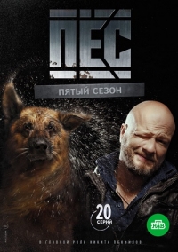 Пес (сериал 2021)