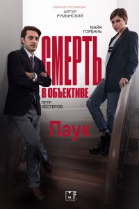 Смерть в объективе 4 Паук (сериал 2020)